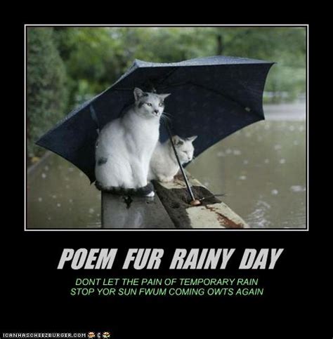Funny Quotes About Rainy Days