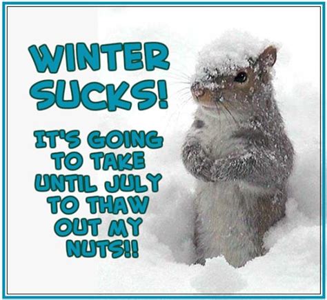 Funny Quotes About Winter. QuotesGram