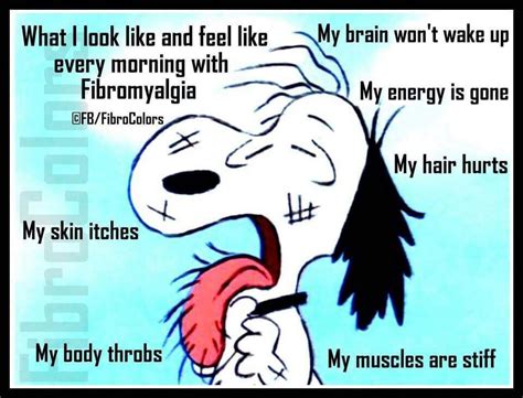 Funny fibro memes. Mar 18, 2019 · 8. When you wake up and realize you’re going to be tired all day long: 9. When you’re always so restless that you don’t really know what sleeping through the night feels like anymore: 10. When you’re tired all day, but can’t sleep at night: 11. When your anxiety gets the best of you, so you can’t fall asleep: 12. 