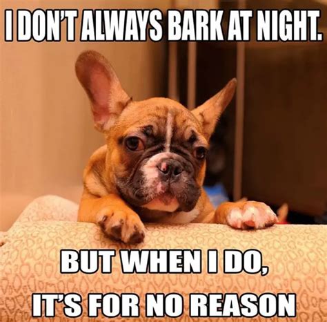 Something about french bulldogs’ squishy funny faces and their clown personalities make them perfect for hilarious memes and photos. Jun 24, 2018 - We are obsessed with these memes! Pinterest. 