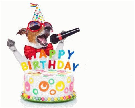 Funny happy birthday dog gif. The “Happy Birthday” song is one of the most recognized and beloved melodies in the world. It’s often played on piano during birthday celebrations, and its origins can be traced ba... 
