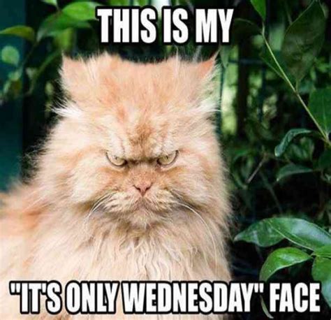 Apr 2, 2018 - Explore Melanie Kennedy's board "Wednesday Memes" on Pinterest. See more ideas about wednesday memes, wednesday humor, wednesday quotes..