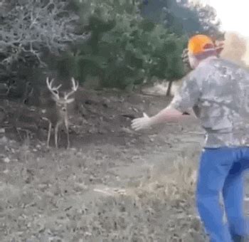 Funny hunting gifs. In a world filled with constant noise and distractions, a well-crafted funny short quote or saying has the power to captivate and entertain. Whether it’s a clever one-liner or a humorous observation, these witty snippets of wisdom have beco... 