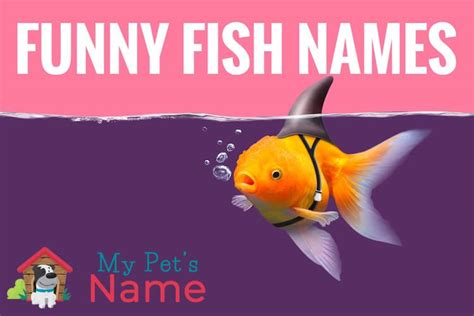 Funny inappropriate fish names. Sometimes the best dog names aren’t the classics – there are already plenty of Spots, Chasers, and Hunters out there. Lots of folks these days choose to name their dogs something f... 