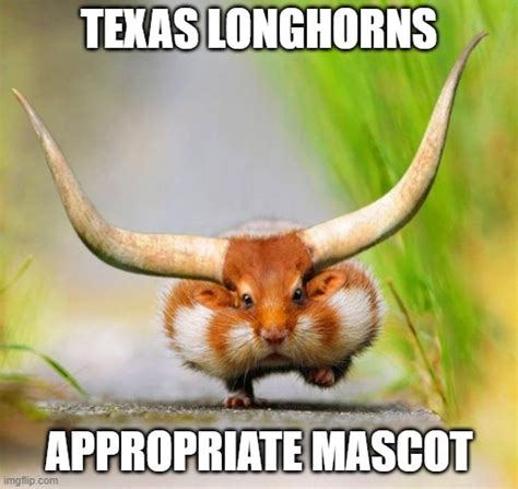 The "Texas is back!" meme has hu