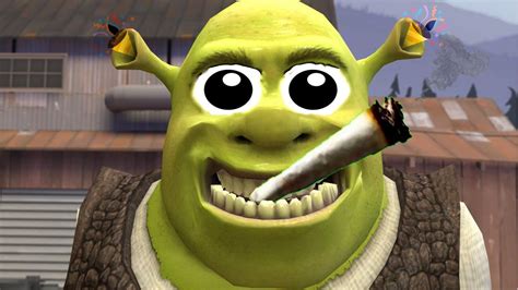 From humble beginnings in a dirty swamp, Shrek taught us that anyone could go through a grand royal adventure… and then wind up right back in the swamp. This is a series where every character can get you smiling. From Fiona to Donkey, and even that freakin’ gingerbread man. But the laughter shouldn’t end at the movie credits. 