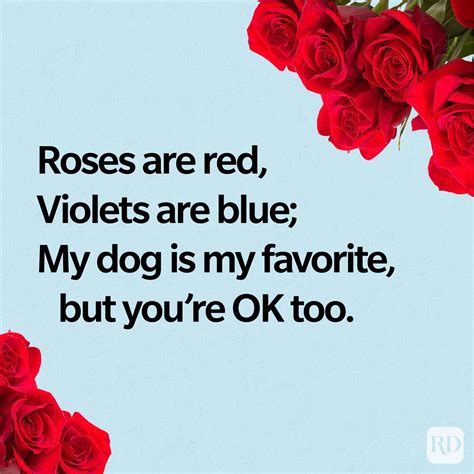 Funny roses are red birthday poems. #21 Funny Birthday Poems for Husband. Roses are red, Violets are blue, I’m still younger, So boo hoo hoo . Happy Birthday, Dear Husband! Also Read: 65 Couple Goals Quotes To Make Your Heart Melt #22 Amusing Birthday Poems for Husband. So what if you’re a little bit older, So what if you ache from head to toe, So what if your ears … 
