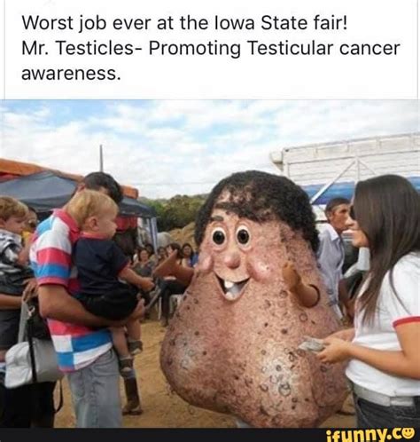 Funny testicle meme. See, rate and share the best testicle manual memes, gifs and funny pics. Memedroid: your daily dose of fun! ... Your meme was successfully uploaded and it is now in moderation. It will be published if it complies with the content rules and our moderators approve it. Upload more. 