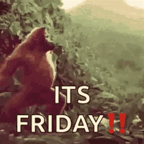 Funny tgif gifs. Things To Know About Funny tgif gifs. 