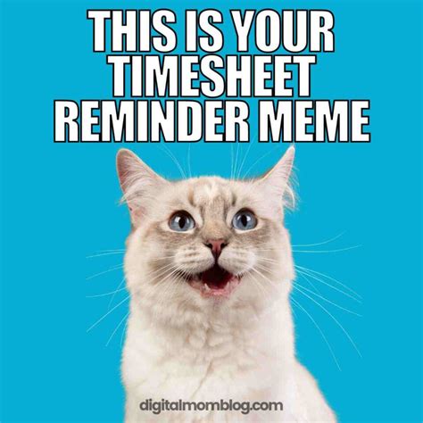 Funny timesheet reminder. Images tagged "timesheet reminder". Make your own images with our Meme Generator or Animated GIF Maker. Create. Make a Meme Make a GIF Make a Chart Make a Demotivational fun. fun gaming repost cats sports reactiongifs more streams ... 