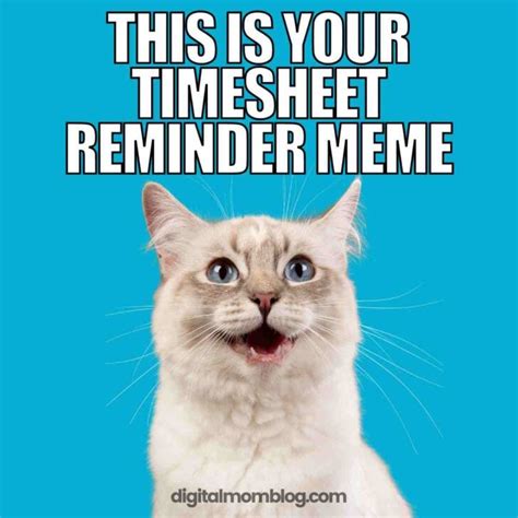Sep 28, 2023 · It makes the process of reminding people less formal and more fun. We have a collection of memes just for people like you. Pick up the memes that best suit your context and inspire your team to be punctual. It’s Friday and the prospect of the upcoming weekend has already got you smiling. No, no. Not so soon! You still have to fill your timesheet.