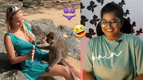 Funny video pulling girls shirts down.  Watch "Dog Proves Why He is...