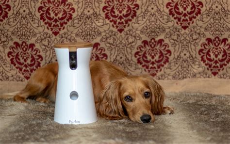 Furbo Dog Camera reviews