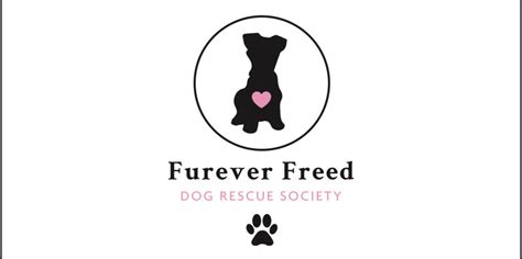 Furever freed dog rescue. Things To Know About Furever freed dog rescue. 