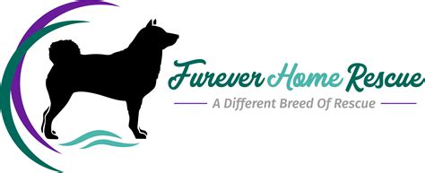 Furever home animal rescue. Things To Know About Furever home animal rescue. 