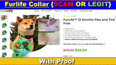 Furlife reviews. Mar 8, 2024 ... Furlife Collar Reviews [ With Proof Scam or Legit ? ] Furlife Collar ! Furlife Collar Review #FurlifeCollar #FurlifeCollarReviews ... 