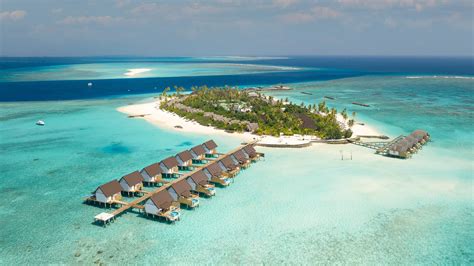  Now £215 on Tripadvisor: Fushifaru Maldives, Fushifaru. See 1,681 traveller reviews, 6,072 candid photos, and great deals for Fushifaru Maldives, ranked #1 of 1 hotel in Fushifaru and rated 5 of 5 at Tripadvisor. Prices are calculated as of 05/05/2024 based on a check-in date of 12/05/2024. .