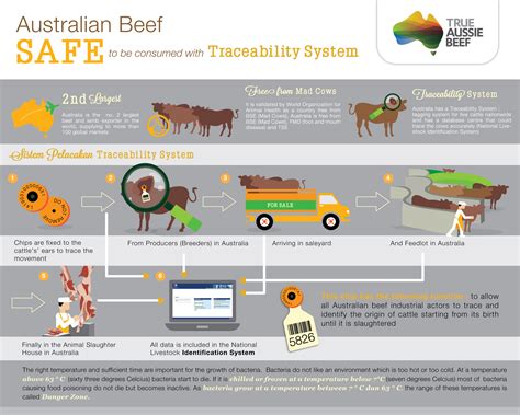 Future Trends in Beef Traceability and Technology