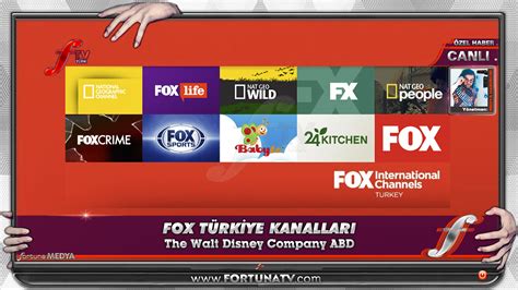 Fx türkiye canlı yayın