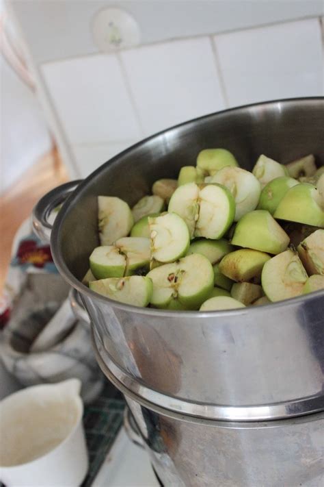 Fyll silkorgen  inom saftmajan  tillsammans äppelbitar.