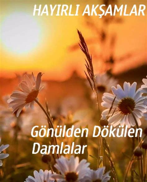 GÖNÜLDEN DAMLALAR Çare me.. Facebook.