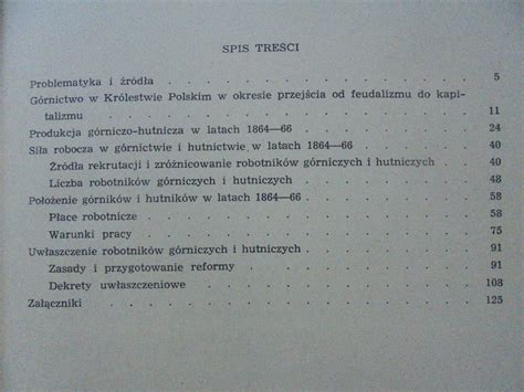 Górnicy i hutnicy w królestwie polskim, 1864 1866. - Livros evangelicos para baixar gratis cpad.