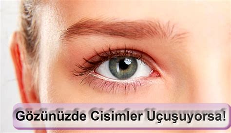 genssuffweb.rgarabwor.edu.pl. 