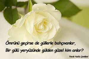 genssuffweb.rgarabwor.edu.pl. 