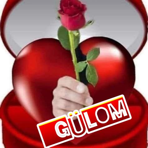 Gülom Gülom #Sevdiğimi #biliyorsun #Bile #bile #  Facebook.
