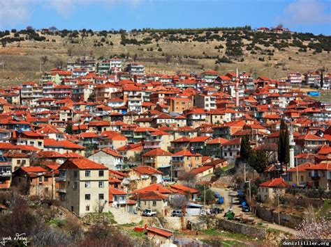 codini.rgarabwor.edu.pl. 