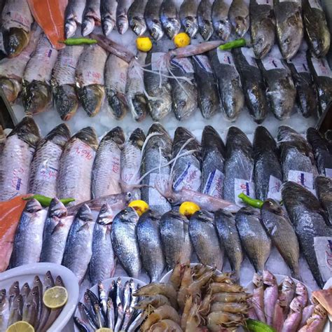 Güven balık konya fiyatları