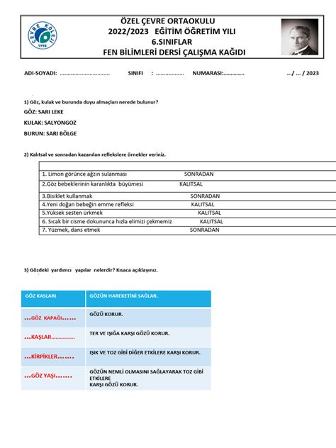 veodersti.rgarabwor.edu.pl. 