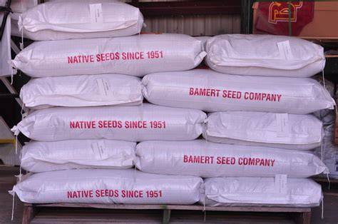 G UIDELINES 6 NATIVE SEED COLLEC - Greening Australia - raincitystudios.com