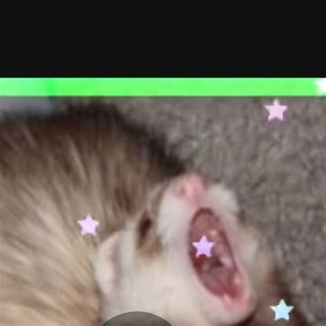 🍑 G0R3K1Tty Leaked (SEX) 31 Pics