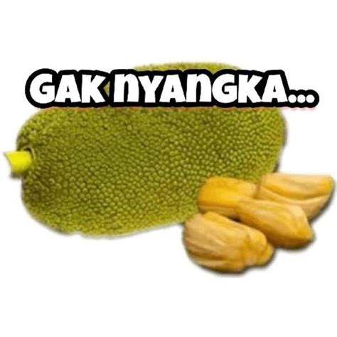 GA NANGKA BAKAL DAPAT ITU#masukberanda #fyp #roblox #4u … - wintechmobiles.com