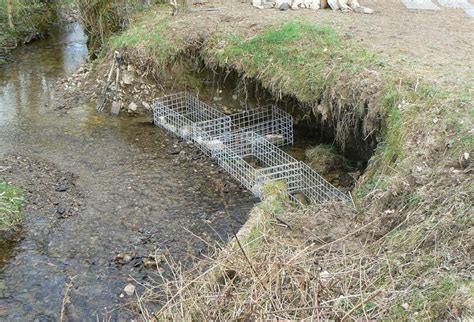 Gabions for Streambank Erosion Control - balustradellc