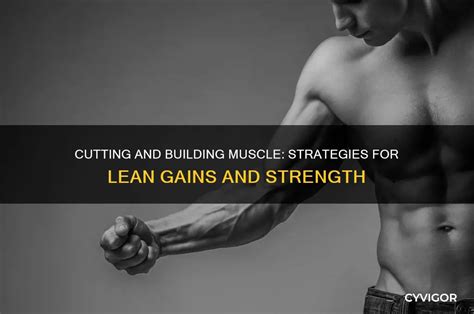 Gaining Muscle While Cutting: Strategies for Lean … - balustradellc