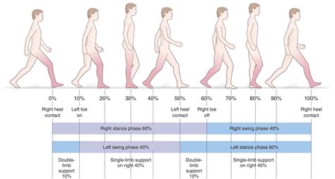Gait analysis - coolestguyplanet.net