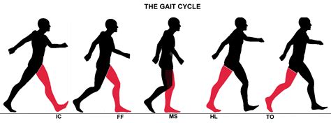 GAIT Analysis Lab TYLER ABELL