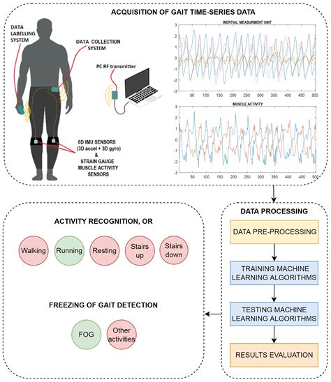 Gait Recognition and Analysis for Person Identification | IEEE ... - coolestguyplanet.net