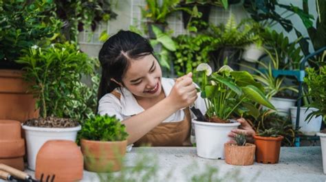 Gak Punya Lahan Bukan Alasan Gak Bisa Punya Sapi! - balustradellc