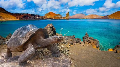 Galápagos Islands - muktibox.com