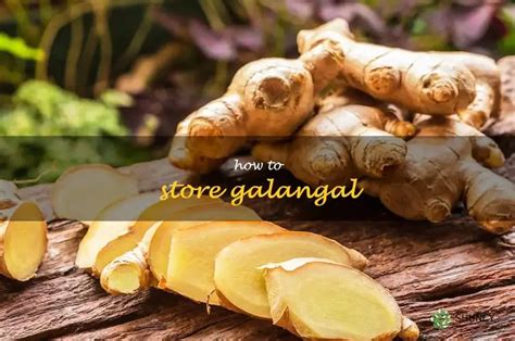 Galangal: How to Store, Cook & Tell If It's Bad — Fresh Keeper - balustradellc