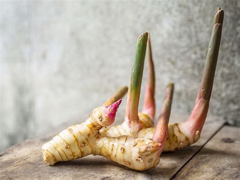 Galangal Root: Benefits, Uses, and Side Effects - balustradellc