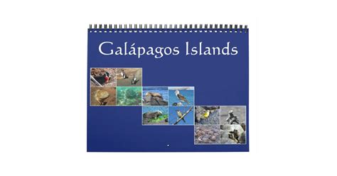 Galapagos wildlife calendar - where and when - muktibox.com