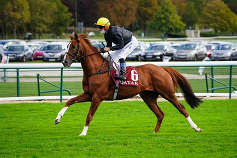 Galop - Sexual violence, including 'corrective' rape and ... - balustradellc