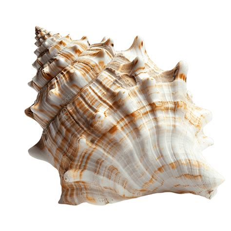 Gambar Rasa Makanan Laut_Gambar unduh gratis di id.lovepik.com - balustradellc