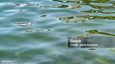 Gambar Refleksi Pada Air | Unduh Gambar Gratis di Unsplash - balustradellc