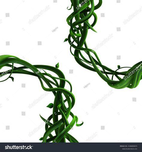 Gambar tanpa royalti Tree vines pattern - Shutterstock - raincitystudios.com