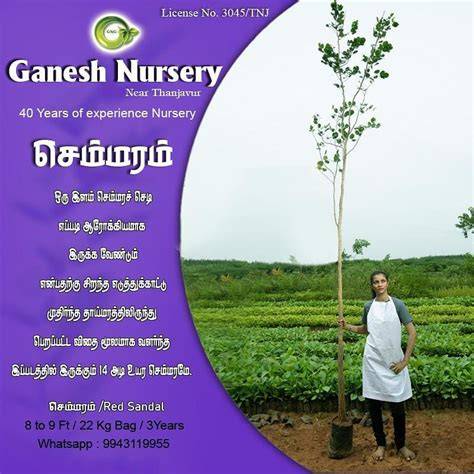 Ganesh Nursery - raincitystudios.com